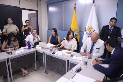 La asambleísta Inés Alarcón (c) preside la Comisión de Seguridad.