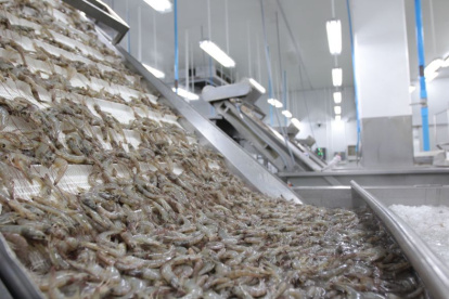 Sectores como la agricultura, silvicultura, caza y pesca atrajeron la inversión extranjera.