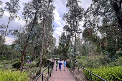 La Reserva Bosque de Cumbayá es parte de un sistema de espacios verdes en el séctor de San Patricio