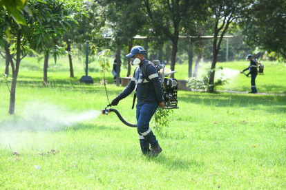 Brigadas municipales han intensificado la fumigación en zonas vulnerables. Pese a ellos la ciudadanía asegura que los vectores afectan a barrios enteros. Necesitan más acciones, alegan.
