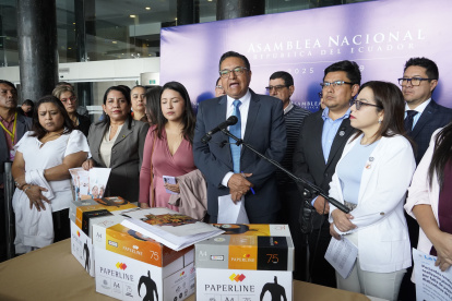 Asambleístas de la Revolución Ciudadana serán candidatos en las seccionales.