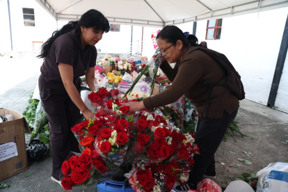 En los pasillos del convento de San Francisco, el movimiento nunca cesa. Cajas que van y vienen, telas que se doblan con cuidado, manos que limpian, ajustan y ordenan. 
A pocas horas de la Procesión de Jesús del Gran Poder, el corazón de esta tradición late con fuerza gracias a decenas de voluntarios que, desde distintos frentes, trabajan para que todo esté listo. Jóvenes y adultos se mezclan en un mismo espacio, combinando tareas y evidenciando un trabajo en equipo que sostiene cada detalle de la celebración.
Galu InLago es una de las voluntarias recientes. “No llevo mucho tiempo, soy nueva en todo esto”, confiesa mientras organiza tareas dentro de la Comisión de Alimentos, de la que también es secretaria. Su motivación surgió de la curiosidad y la fe: asistir a misa le permitió descubrir un espacio donde los jóvenes tenían cabida. “Es una experiencia gratificante. Es un trabajo pesado, pero al final todo sale bien”, asegura. Su comisión cumple una labor silenciosa pero esencial: alimentar a quienes garantizan el orden durante la procesión, entre ellos policías, bomberos y personal municipal. Son alrededor de mil raciones que requieren organización y dedicación.
En otra esquina del convento, Ángel Cáceres pule con esmero una de las andas. Forma parte de la Comisión de Andas, siguiendo la tradición familiar. Su trabajo incluye revisar cada detalle técnico: limpieza, mantenimiento de estructuras y parlantes. “Todo debe estar perfecto para mañana”, afirma. En el convento se observa cómo jóvenes y adultos se combinan en tareas, compartiendo experiencias, colaborando y aprendiendo unos de otros. “Aquí todos colaboramos, es una hermandad”, comenta Ángel mientras revisa los últimos detalles.
Desde la guía espiritual, fray Edgar Abad, guardián del convento San Francisco, recuerda que este esfuerzo no es improvisado. “Nos preparamos durante todo el año”, señala. Aunque existen numerosos voluntarios registrados, el núcleo activo está compuesto por un grupo más reducido que asume responsabilidades constantes. 
Las tareas se distribuyen en comisiones: andas, vestimenta, liturgia, acogida, comunicación y más. Comenta que en los últimos años, se ha observado un aumento significativo de jóvenes que participan en los preparativos, lo que refleja una renovación generacional sin que se pierda la esencia de la tradición.
Diego Albán, parte de la Comisión de Cucuruchos, cuida cientos de trajes que se utilizarán durante la procesión. Su motivación es profunda: herencia familiar y gratitud por poder formar parte de esta celebración. Diana Simbaña y su esposo, quienes se sumaron tras asistir a una misa, integran el equipo de comunicación, encargados de transmitir en vivo cada momento. “No es solo rezar, es hacer algo por los demás”, enfatiza Diana.
Entre estas historias resalta Vicente QuinaLuisa, con más de 30 años en la cofradía. Detalla la organización: grupos de andas, flores, protocolo y alimentos, con preparación constante que incluye limpieza, mantenimiento y coordinación de ceremonias. Su religiosidad nació en la infancia, influenciado por su padre, quien lo llevaba a rezar las estaciones todos los viernes de Cuaresma en Santo Domingo, Quito. Para Vicente, la fe y la confianza en Dios guían cada paso. Sobre el relevo generacional, celebra que adolescentes y jóvenes se involucren gracias a la guía y ejemplo de sus padres.