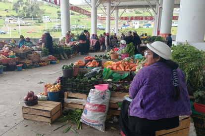 EL MERCADO ES ATENDIDO DIRECTAMENTE DE LOS PRODUCTORES DE JUAN BENIGNO VELA.
AG-EXTERNO