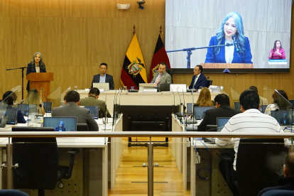 Fernanda Racines y Emilio Uzcátegui entregan 'amicus curiae' para proteger servicios sociales y culturales en Quito