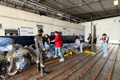 Aletas de tiburón, camufladas en sus fundas para pasar como buches de pescado.