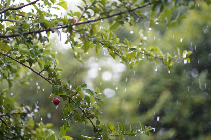 Referencial. Un día marcado por radiación extrema y lluvias aisladas en varias regiones del país
