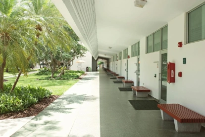 Los cambios en las leyes de educación superior han ido mermando la autonomía de las universidades