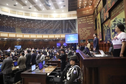 El Pleno de la Asamblea Nacional debatió la ley de educación financiera.