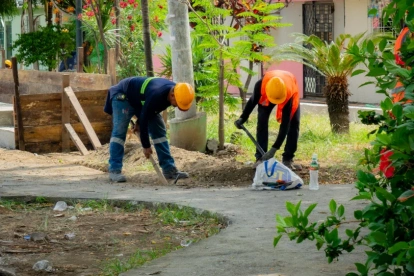 Las autoridades realizan mantenimiento en los parques del sur.