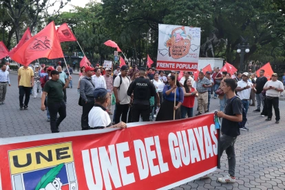 Un grupo de ciudadanos marcharon por la avenida 9 de Octubre reclamando por el IVA a alimentos que antes no pagaban el impuesto.