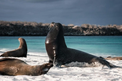 El control migratorio en aeropuertos regula el ingreso de ecuatorianos a Galápagos.