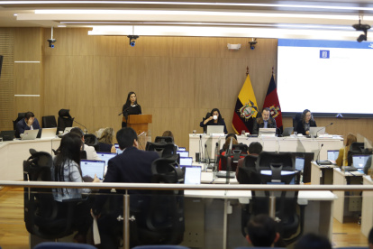 Desde 2014, el Distrito Metropolitano de Quito cuenta con 21 ediles, más el alcalde.