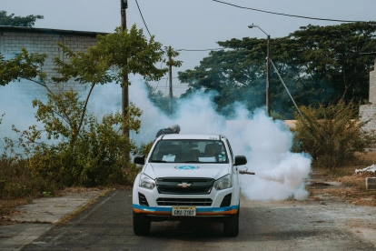 Las autoridades han realizado jornadas de fumigación.