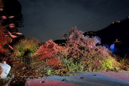 Sobre la carretera  Principal E-487 vía Riobamba - Guayaquil, en el sector Juan Montalvo, se han registrado deslizamientos.
