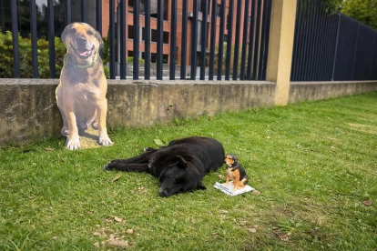 Max vivió durante 15 años en la Escuela Politécnica Nacional.