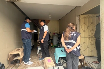 El Municipio informó de la clausura en una vivienda.