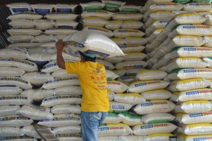 Una persona apila sacos de arroz en una bodega.