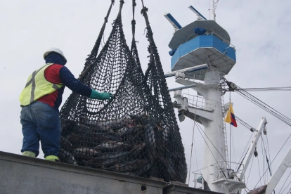 El trabajo de la pesca en Manta.