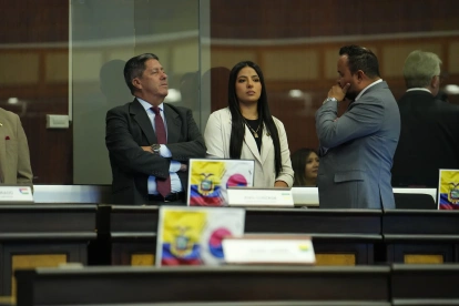 Legisladores del oficialismo colocaron banderas de Ecuador y Corea a propósito de la aprobación dle acuerdo comercial en el Pleno.