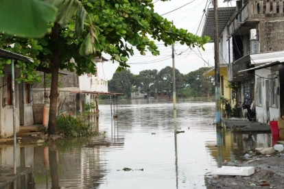 Lluvias dejan 94.009 afectados y 15 muertos en Ecuador en 2026, según SNGR