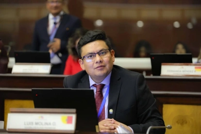 El asambleísta de la Revolución Ciudadana Luis Fernando Molina habló de irregularidades en documentación de Cynthia Jacho.