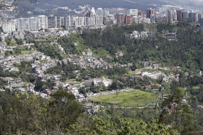 Guápulo y Bolaños fueron afectados por incendios forestales, actualmente la vegetación muestra claros signos de regeneración.