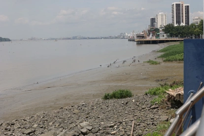 La mancomunidad articula decisiones sobre agua, suelo y desarrollo entre provincias conectadas a la cuenca del Guayas.