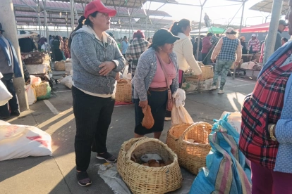 La feria de lunes y viernes de animales menores, mueve la venta de unos 10 mil cuyes y conejos en Ambato