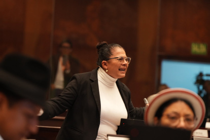 La legisladora del correísmo Sandra Figueroa durante la intervención en el Pleno de la Asamblea Nacional Ecuador.