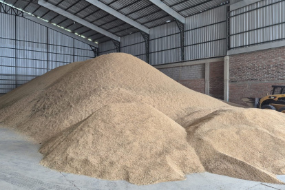 El inicio de la cosecha coincide con inventarios rezagados en piladoras.