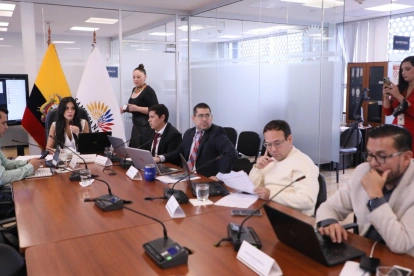 El informe para primer debate del Proyecto de Ley Orgánica de Agilización Judicial para la Adopción fue aprobado con siete votos.