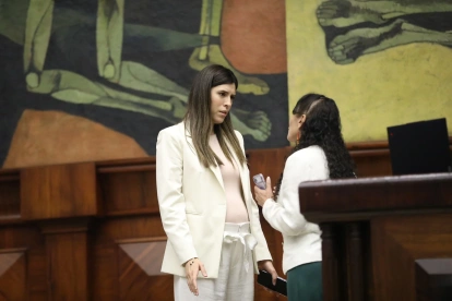 La legisladora de ADN Valentina Centeno cuestionó la autoría de una reforma al COIP.