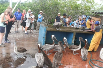 La afluencia de gente deja muy buenos réditos económicos, pero ello tiene efectos que pueden poner en riesgo la propia sostenibilidad de un ecosistema.