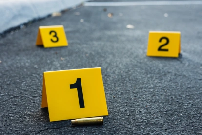 La ciudadanía necesita un plan de seguridad eficaz que garantice tranquilidad sostenida y que devuelva la confianza en la vida diaria.