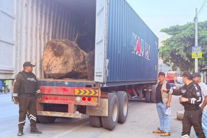 Los troncos eran transportados en un camión.