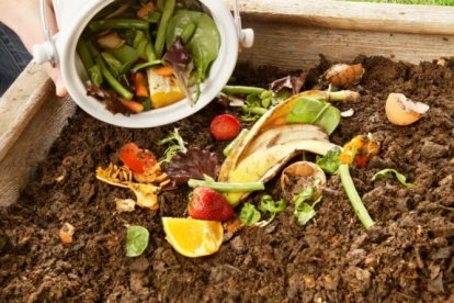 El objetivo es transformar los residuos orgánicos en abono natural.