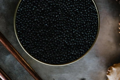 La izquierda actual es de caviar. Se ha alejado de sus valores, acostumbrándose a las mieles del poder y dejándose llevar incluso por la corrupción.