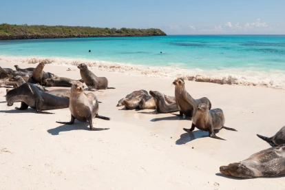 Islas Galápagos, uno de los ecosistemas más biodiversos del planeta, bajo protección de Ecuador..