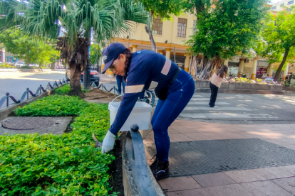El Municipio realizó una jornada de desratización.