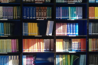 La lectura puede ser un acto de rebeldía frente al algoritmo digital. Los libros nos devuelven el control.