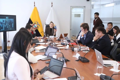 La Comisión de Justicia, presidida por la oficialista de ADN, Rosa Torres, habría discutido una de las reformas al COIP que busca sancionar las expresiones en plataformas digitales.