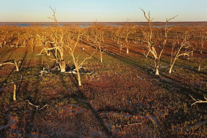 Fotografía de archivo de la continua sequía que afectó a Australia en 2019.