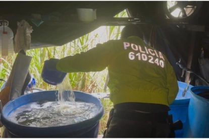 Operación binacional incautó 900 kilos de cocaína en Cauca, ligados a disidencias de las FARC