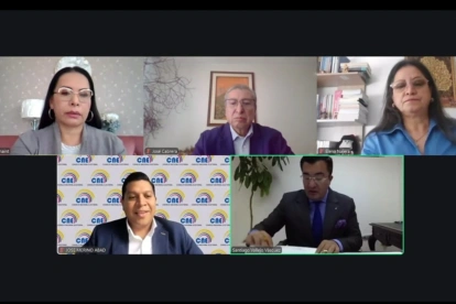 Durante la sesión del Pleno, el mismo vocal suplente, José Merino, admitió que el CNE incumplió el plazo para la cancelación de Unidad Popular y Constuye.