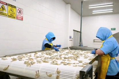 Trabajadoras en una empacadora de camarón de exportación.