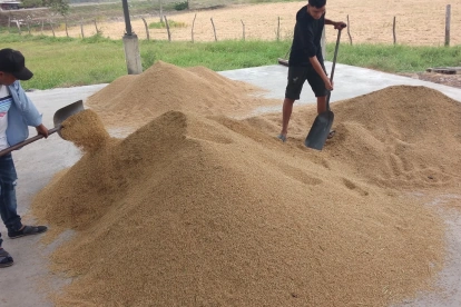 El Gobierno destinará $ 8 millones para este programa de compras.