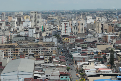 Cemento. Así se ve la ciudad, con árboles que apenas sobresalen entre las viviendas. La urbe tiene un déficit de zonas verdes y el desafío de arborizar.