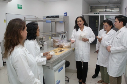 Un grupo de maestros de la Espol dirigen investigaciones de los alimentos del futuro.
