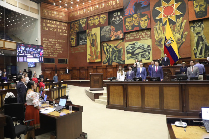 El Pleno de la Asamblea Nacional Ecuador conoció en primer debate los cambios a las Ley de Garantías Jurisdiccionales.