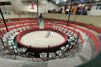 Las autoridades suspendieron una pelea de gallos que se desarrollaba en el nororiente de Quito.